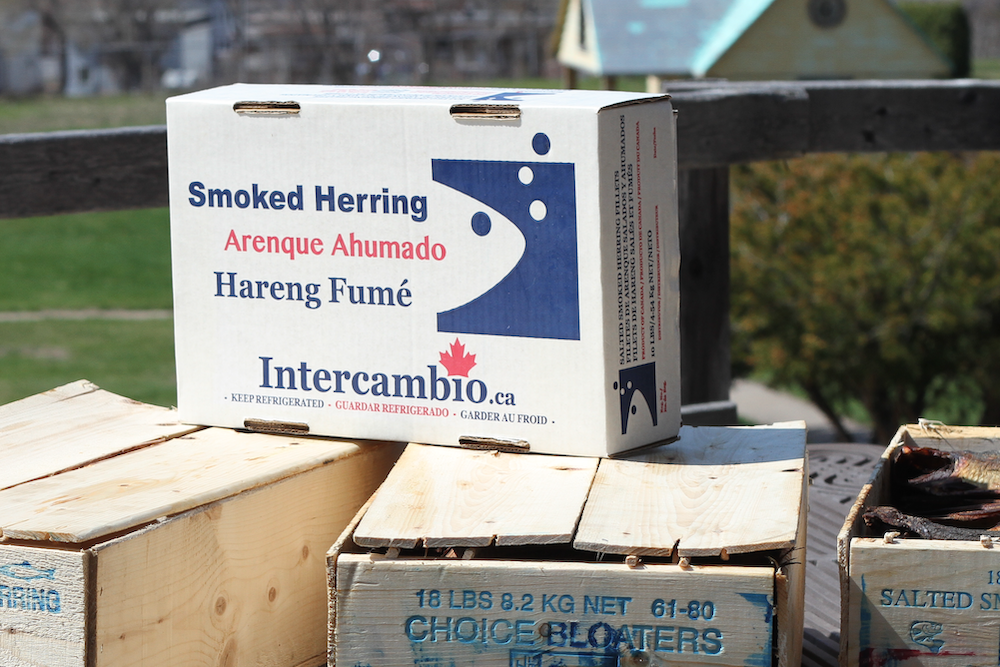 intercambio-box-salted-smoked-herring-fillet